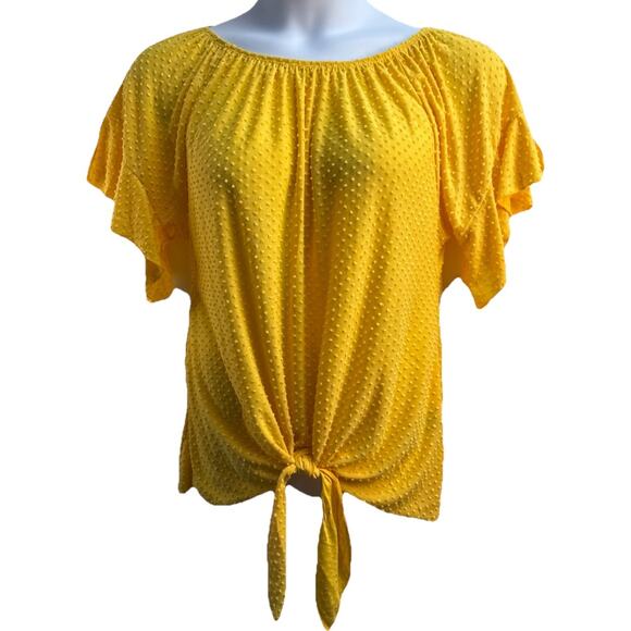 Zac &‎ Rachel Women's XL Yellow Dotted Swiss Ruffle Short Sleeve Tie Front EUC - Picture 1 of 6